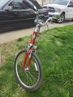 Electra Townie 7D 7 speed cruiser