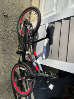 Kids 20 inch Guardian bicycle