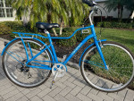 MOMENTUM STREET BIKE