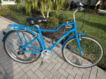 MOMENTUM STREET BIKE