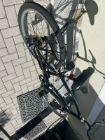 ELECTRA TOWNIE 7D Bike