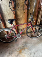 Mongoose Hilltopper