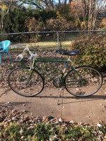 Schwinn Varsity Bike