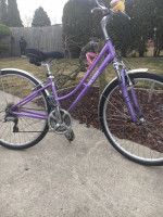 Raleigh Comfort Bicycle