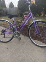 Raleigh Comfort Bicycle