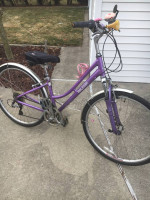 Raleigh Comfort Bicycle