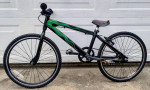20" Lightweight Aluminum SE Mini Ripper BMX Bike