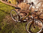 26 IN LADIES 21 SP SCHWINN SIERRA CRUISER