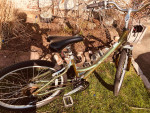 26 IN LADIES 21 SP SCHWINN SIERRA CRUISER
