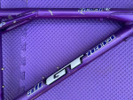 GT All Terra Ricochet 16.5 frame
