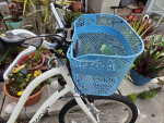 Women's Electra Townie 7D (24")