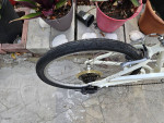 Women's Electra Townie 7D (24")