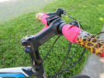 TREK LEXA WOMANS SPECIFIC DESIGN BIKE 54CM