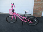 Girl's Trek Bike