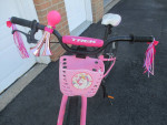 Girl's Trek Bike