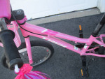 Girl's Trek Bike