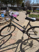 Trek 800 bike