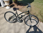 Diamondback wildwood