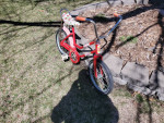 Strawberry Shortcake Vintage Bike