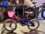Princess bike