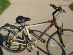 mens trek hybrid bike