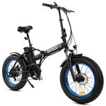Ecotric electric Fat Tire Bikes
