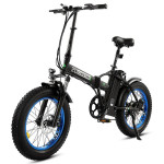 Ecotric electric Fat Tire Bikes
