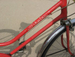 ladies schwinn cruiser