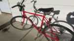 Tourney Free Spirit  bicycle,     bicycle