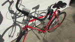 Tourney Free Spirit  bicycle,     bicycle