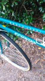 Schwinn Girls World Sport