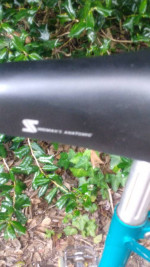 Schwinn Girls World Sport