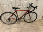 PROJECT - Trek 2200 Superlight Aluminum 48 cm WSD Woman's Bicycle