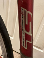 PROJECT - Trek 2200 Superlight Aluminum 48 cm WSD Woman's Bicycle