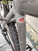 Men's Large JAMIS 21 Speed w/Rack