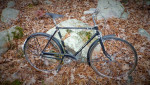 FS: RALEIGH Sports PrOjEcT