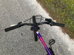 BRAND NEW Nishiki 7-Speed Mountain Bike