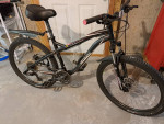 specialized