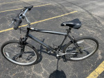 Nishiki Bicycle