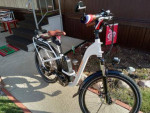 2021 rad city 3 mint condition