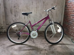 Roadmaster bicycle