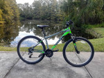 Giant Rebel