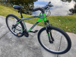 Giant Rebel