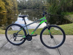 Giant Rebel