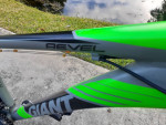 Giant Rebel