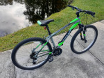 Giant Rebel