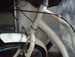 26" Schwinn Woman's bike