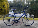Specialized Hybrid XL Frame