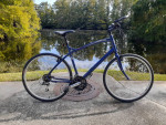 Specialized Hybrid XL Frame