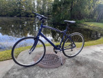 Specialized Hybrid XL Frame